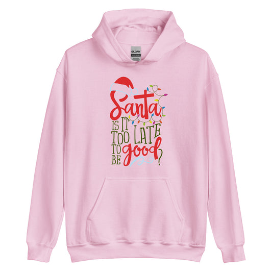 Santa Too Late Unisex Hoodie